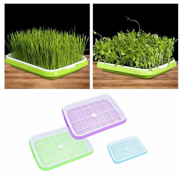 sprout-tray